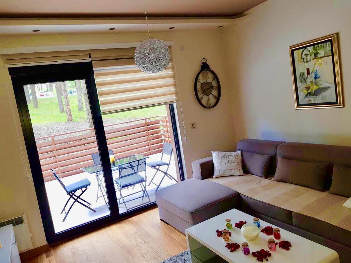 Apartment Jelena 兹拉蒂博尔 外观 照片